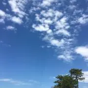 ナガミの画像