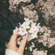 (∩´∀`∩)♡の画像