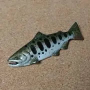 kimaの画像