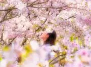 mikiの画像
