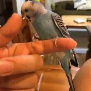 すやすやママ(^^)の画像