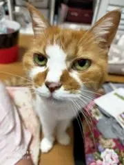 ★★mimi★★セール9日まで！！の画像