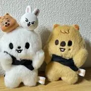 mrcの画像