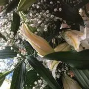 ゆ～り