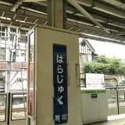 紅梅の画像