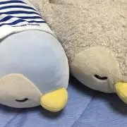 まどかの画像