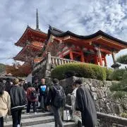 からあげの画像