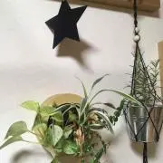 sakuradaの画像