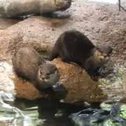 そるとの画像