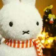 miffy✨の画像