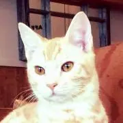 ゆずこしょ＊