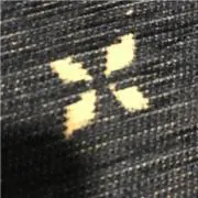SGKの画像