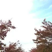 草原