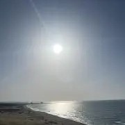 岩田の画像