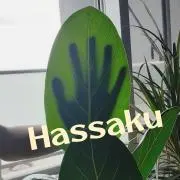 はっさくの画像