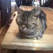 MK(プロフ必読お願いします。)