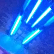 バーニー