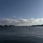ソウの画像