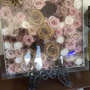 ともの画像