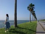 ウッディの画像