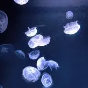 3ka+⛀⸒⸒の画像