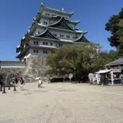 TOMの画像