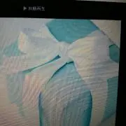 ノッコ