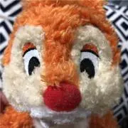 シロクマの画像