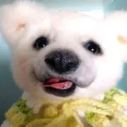 そら※全て即ご購入大丈夫です‼️の画像