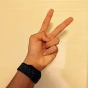 alic3