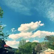 ルイジーの画像