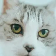 まみむめもの画像