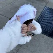 myaの画像