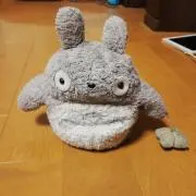 のーこ1012の画像