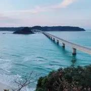 タイリス