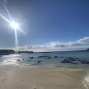 でんの画像