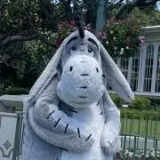 Ｋの画像