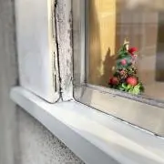 ももの画像