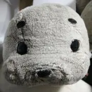 ヒーさん