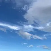 ルナ
