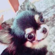 ひろ
