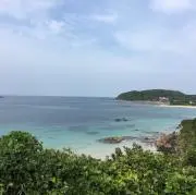 うどんの画像