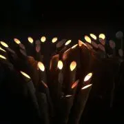 ATの画像