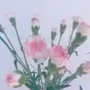 はーこの画像