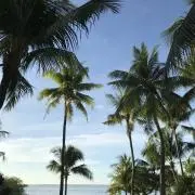 Hiroの画像