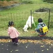 ゆうたんパパ