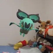 タンゼルの画像