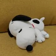 まいまいの画像