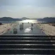 くぅの画像