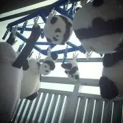 ゆきの画像
